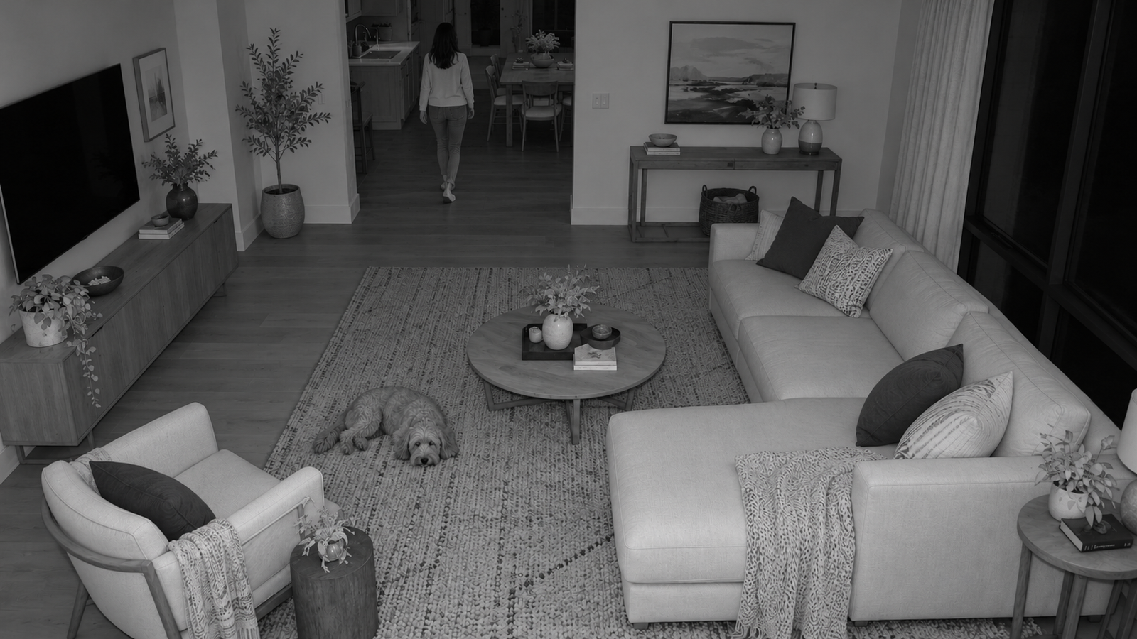 Illustrative monochrome infrared view of the same room at night